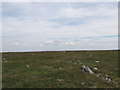 NY6934 : Barren plateau on Cross Fell by steven ruffles