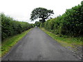 Aghnamoyle Road, Mullaghmenagh Lower