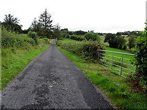 H4071 : Falskey Road, Cavanacaw Upper by Kenneth  Allen