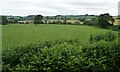 Lowland farmland west of Linton