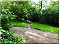 Bridleway crosses drive on the way to Rickford Common