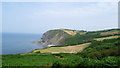 On the Wales Coast path in July