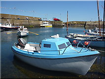 NT9167 : Coastal Berwickshire : Blue And White Boat At St Abbs by Richard West