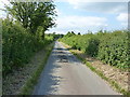 Along the lane towards Coley Mill