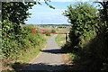 Cycle Route 7 at Greenan