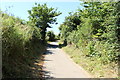 Cycle Route 7 at Greenan