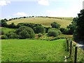 Countryside view