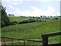 View towards Castell Fury