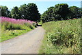 Cycle Route 7 at Greenan