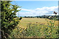 Farmland at Greenan