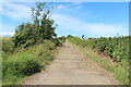 Ayrshire Coastal Path at Greenan