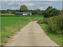 SU9346 : Farm road towards Lone Barn by Alan Hunt