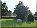 St John the Baptist, Brokenborough: churchyard (c)