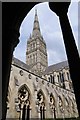 SU1429 : Spire of Salisbury Cathedral by Philip Halling