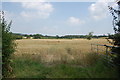 Field near Blakemore Farm Stables