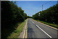 Lotherton Lane towards Aberford