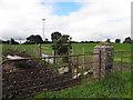 H2988 : Rusty gates, Tullydoortans by Kenneth  Allen