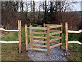 Gat Fochyn Allt y Ci Wood Kissing Gate