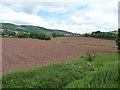 Two ploughed fields west of Ford Farm, Bicknoller