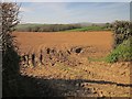 Field near Furzehill