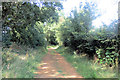 Track to the Dancersend Nature Reserve