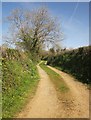 Footpath past Little Birch Cottage