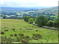 Hillside above Alston