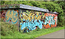 J3470 : Graffiti, Lagan towpath, Stranmillis, Belfast - July 2014(2) by Albert Bridge