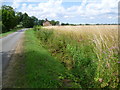 The approach to Sempringham House Farm along Neslam Road