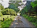 Ditch End, country lane