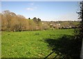 Field at Harberton