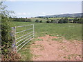 Field above Willett House