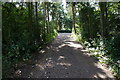 Forest Lane near Tillmire Farm