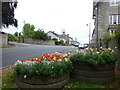 Floral display, Caledon