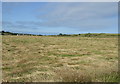 Farmland near Blackdog