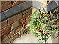 Bench mark, Sutton-on-Trent Methodist Church