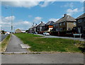 Long grass strip in Trebanog