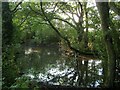 Pond near Stuccles Farm