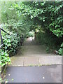 Steps & Footpath - Mixenden Road