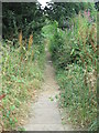 Footpath - Crag Lane