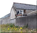 Cow on the roof at Kilkeel