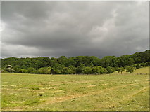 ST4734 : Ominous clouds at Middle Ivy Thorn Farm by Rob Purvis