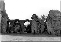 TM4249 : Ruins at rear of St Bartholomew's Church, Orford by Clint Mann