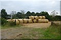 Bales along York Lane