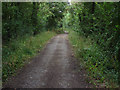 Footpath near Mount Skippets Farm