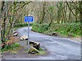 SX4767 : Minor road, near Buckland Monachorum by nick macneill