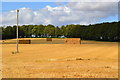 SU1016 : Harvested field with haystacks, Damerham by David Martin