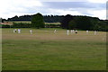 Cricket at Rockbourne