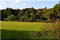 View into field at Sandleheath