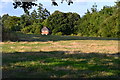 Field and house near Fordingbridge
